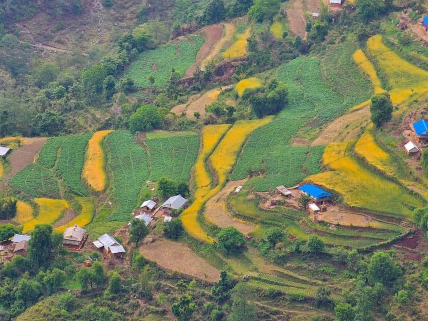 झ्याजेटोलबाट ७० लाख बराबरको तरकारी निकासी