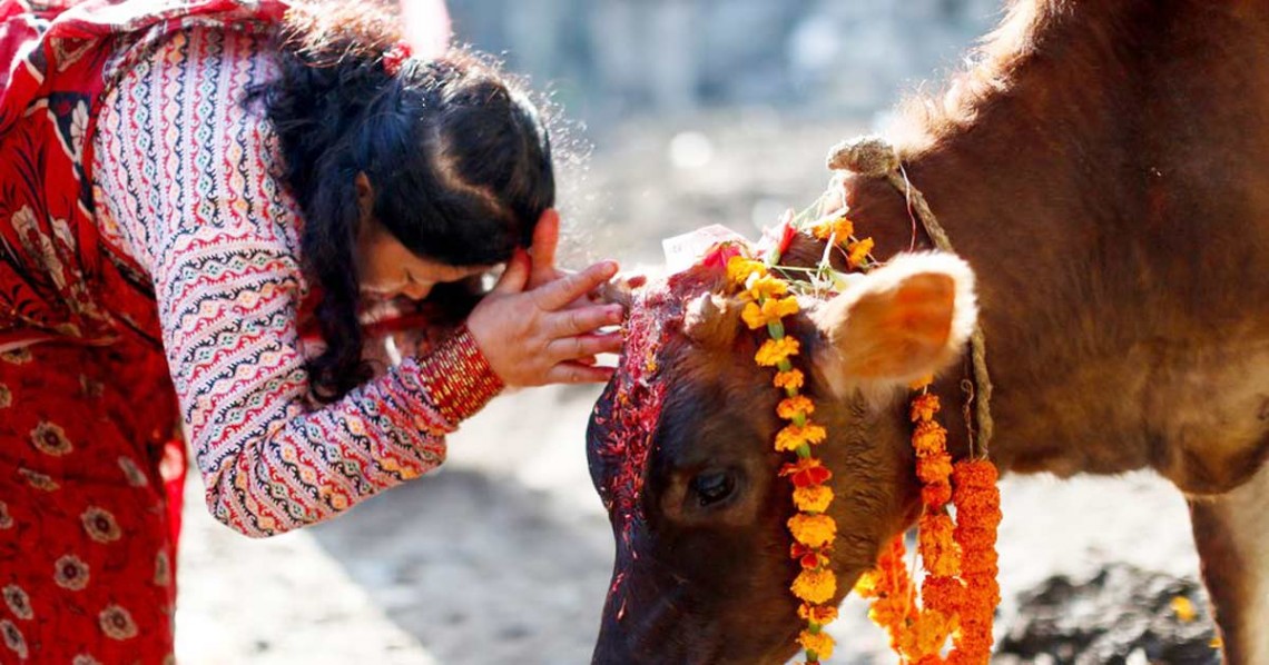 तिहारको चौथो दिनः आज गोवर्द्धन पूजा गरिँदै