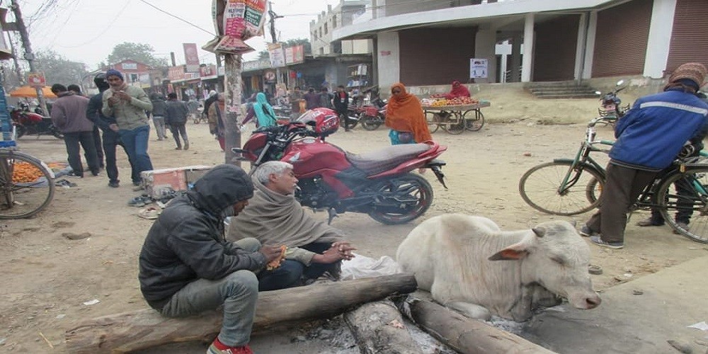 तराईमा चिसो बढेसँगै बिरामीको संख्यामा वृद्वि