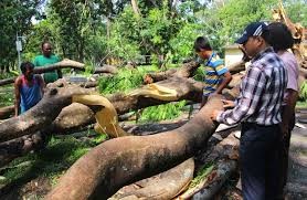 रुखले च्यापेर एक मजदूरको मृत्यु