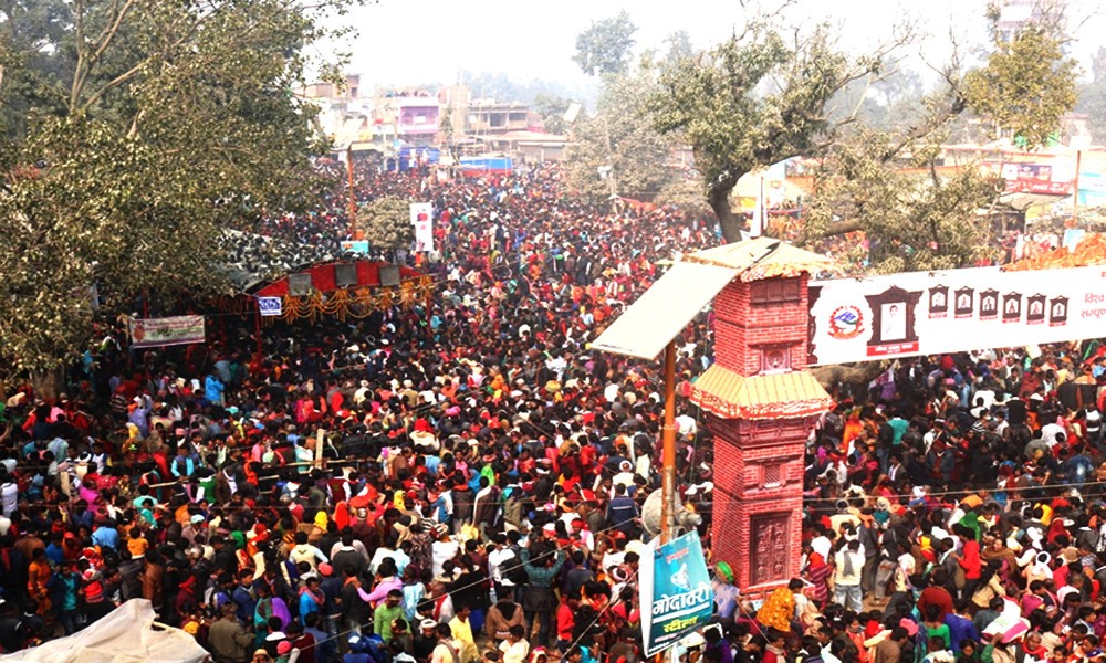 घटेन पशु बलि, गढीमाईमा अघिल्लो भन्दा यो पल्ट बढी राँगा काटिए