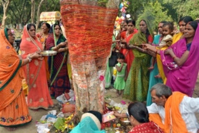 महोत्तरी सहितका मिथिलाञ्चलमा आज अक्षय नवमी पर्व धुमधामका साथ मनाइदै