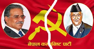 दाहाल–नेपाल पक्षको अनेरास्ववियूले गर्यो सरकारविरूद्ध आन्दोलनको घोषणा