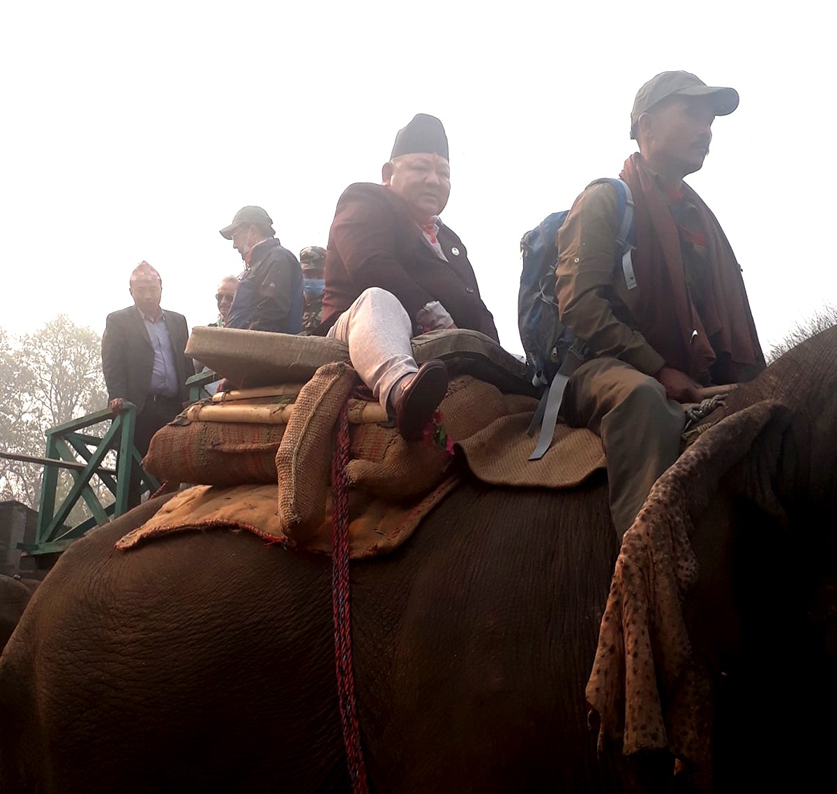 मकवानपुरको प्रतापपुरबाट गैंडा गणना सुरु