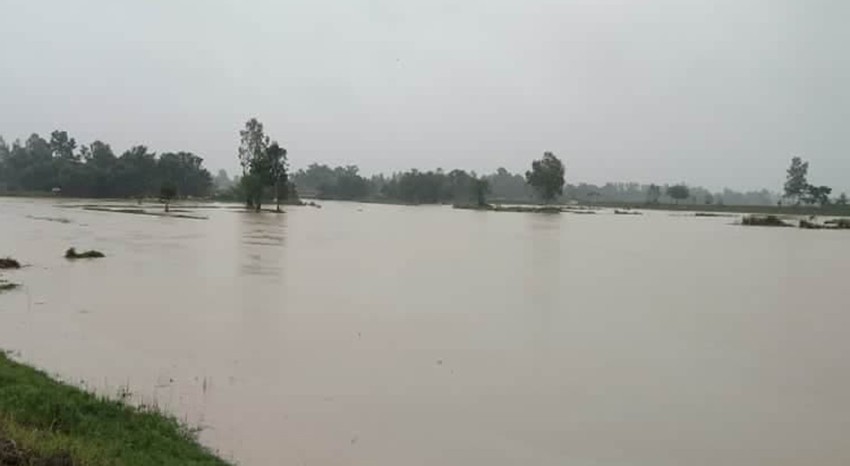 आज यी नदीमा पानीको बहाव केही बढ्ने : यस्तो छ आजको बाढी पूर्वानुमान