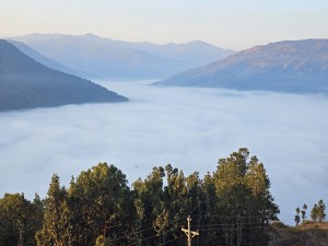 कुहिरोले ढाकेको चुप्रा बजार