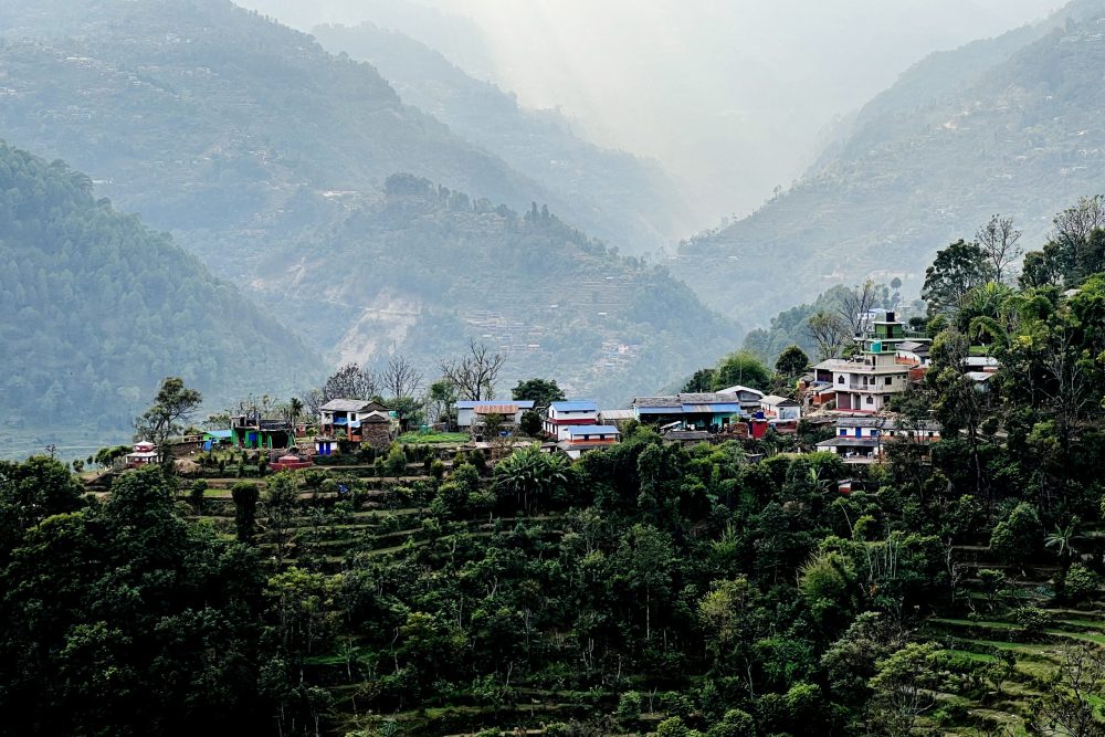 बसाइँसराइले रित्तिदै गाउँः बढ्यो बाँदर आतङ्क