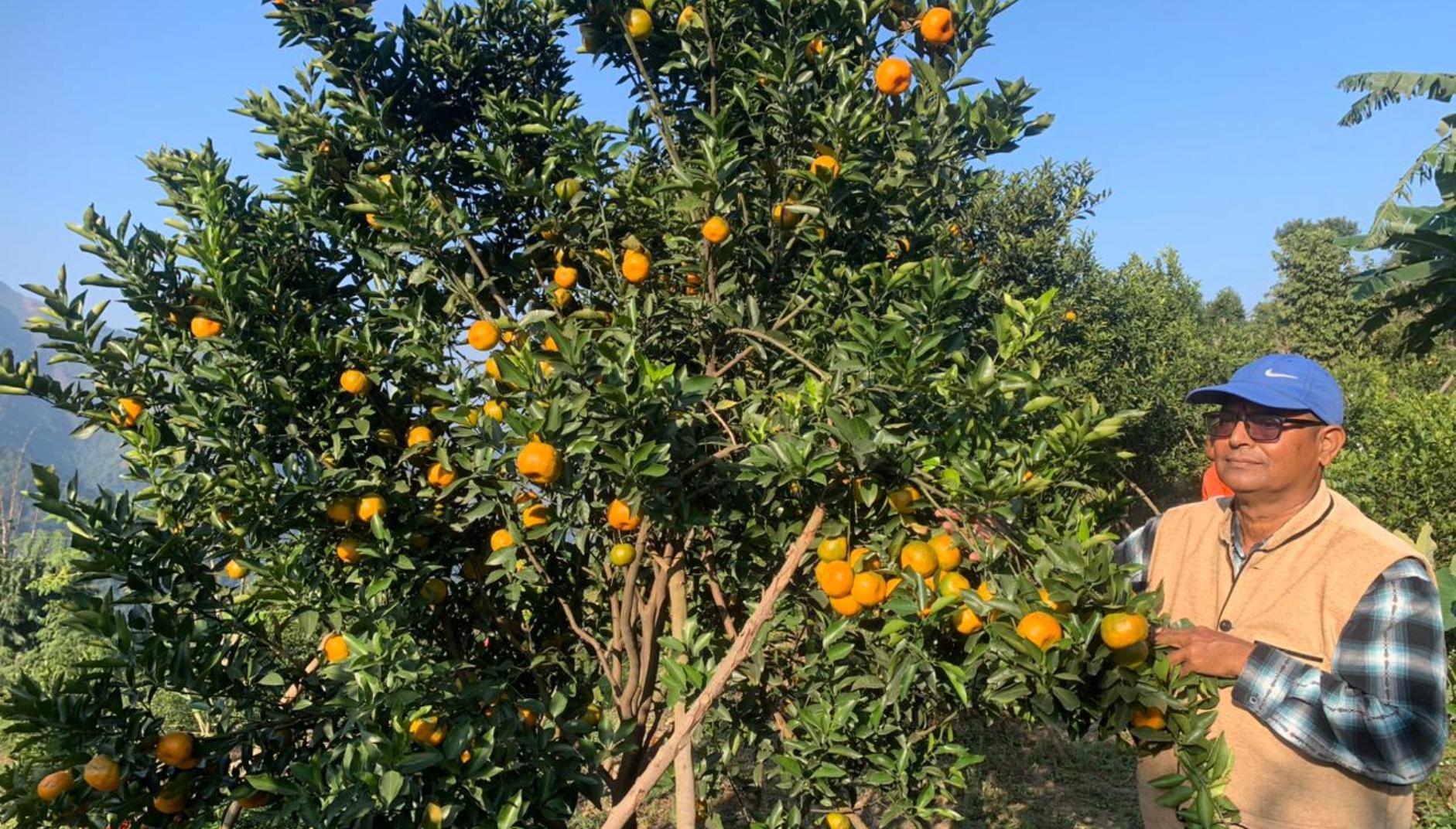 कृषि कर्मबाटै चिनिएका गुप्तप्रसाद