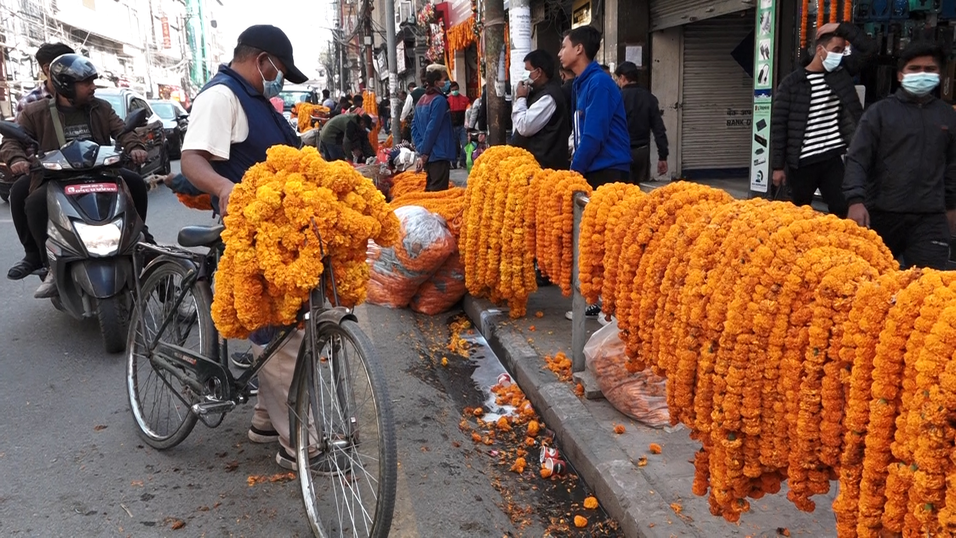 भारतबाट आयात हुने सयपत्री फूलमा सरकारले लगायाे प्रतिबन्ध